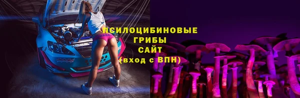 ГАЛЛЮЦИНОГЕННЫЕ ГРИБЫ Орск