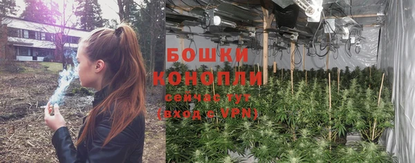 мдпв Зеленодольск