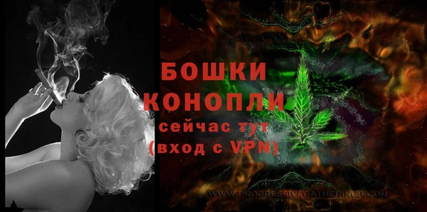 мдпв Зеленодольск