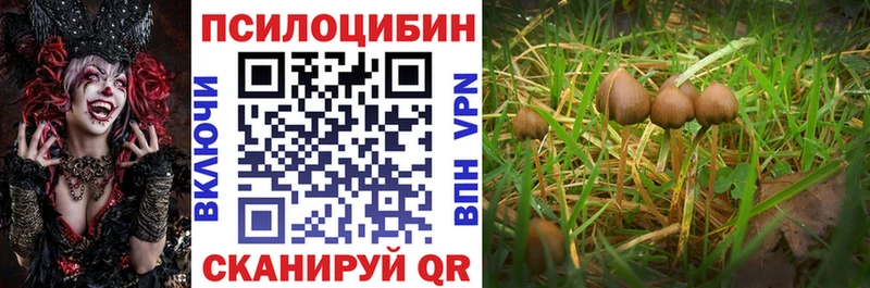 Псилоцибиновые грибы GOLDEN TEACHER  как найти   Давлеканово 